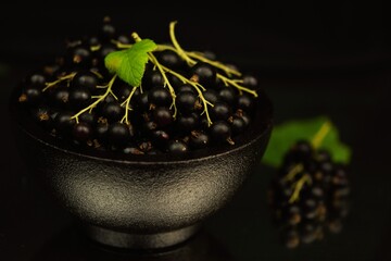 Blackcurrants on black background, low key black currant, fresh fruits on black bowl. 