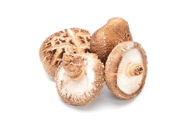 Fresh shiitake mushroom isolated on white background. Japanese food