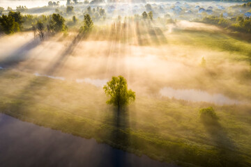 Beautiful misty dawn in the spring on the river.