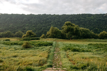 Fototapeta na wymiar landscape with trees and hills