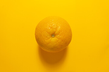 Creative concept food health diet photo of cut raw orange fruit on orange background.