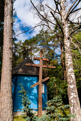 Lato w Dolinie Górnej Narwi, Podlasie, Polska