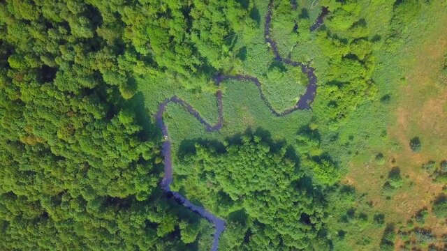 4k AERIAL: Top down view on small winding river in summer forest.