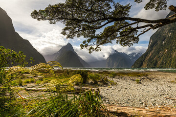 Milford Sound, South Island, New Zealand