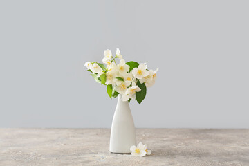 Vase with beautiful jasmine flowers on grey background