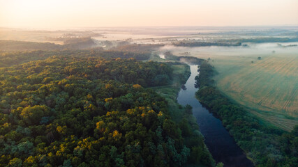 landscape forest by the river in the fog