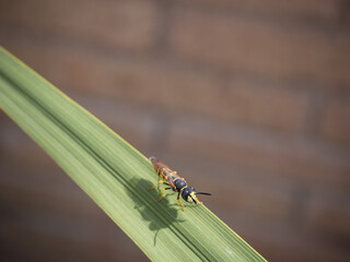 Fototapeta premium OLYMPUS DIGITAL CAMERA