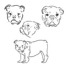 Dogs characters doodle sticker english bulldog. Funny animals isolated set
