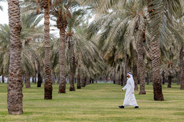 Middle Eastern Arab Emirati man on a morning walk at the park