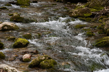 Mountain river close up. Shallow river among large stones. Rough course of the river.