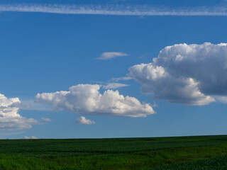 Landschaft im Sommer