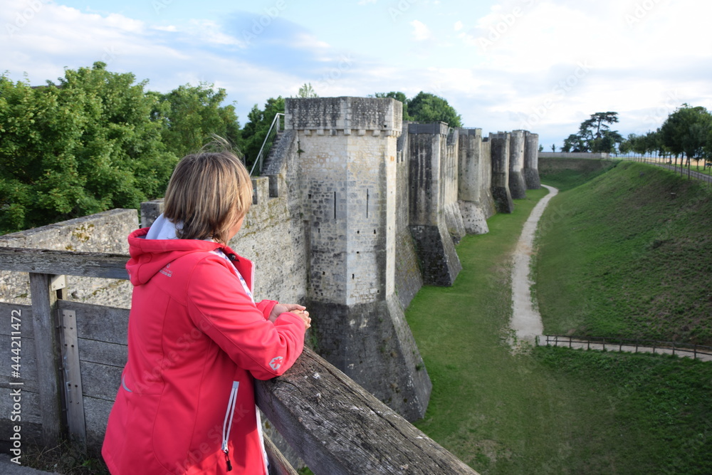 Poster Stadmauer in Provins