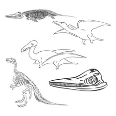 Set of silhouettes of skeletons of dinosaurs and fossils. Hand drawn vector illustration. Silhouettes of man and children, comparison of sizes, realistic size.