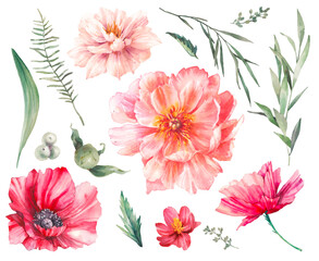 Watercolor flowers clipart. Peony, poppy, roses isolated on white background. Floral objects set - 444212484