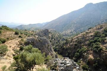 Fototapeta na wymiar Le belvédère d'Ano Amygdali près du plateau du Lassithi en Crète