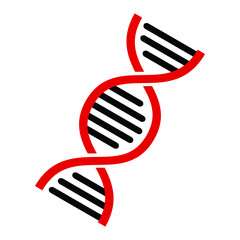 gene of human, chromosome of man, dna molecule symbol