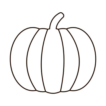 Halloween pampkin logo. Linear pumpkin icon on white background. Black vector pumpkin illustration. Simple illlustration of halloween pumpkin.