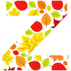 Vector letter Z from autumn leaves. Illustration on the subject of the alphabet.