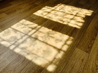 vintage interior light shadow on the floor