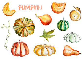 Pumpkin watercolor elements set. Template for decorating designs and illustrations.