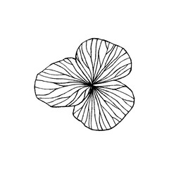 Hand drawn detailed flower in modern style. Floral black and white icon, vector graphics.