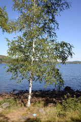 Fototapeta na wymiar Edslan, ein See in Schweden