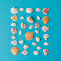 Creative seashell pattern on blue background. .Summer flat lay.