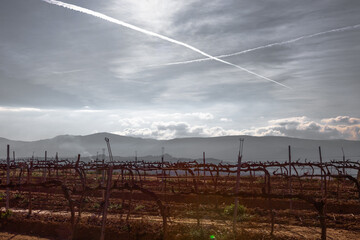Paisaje rural de viñedos durante el invierno en la Comarca del Penedés, Barcelona