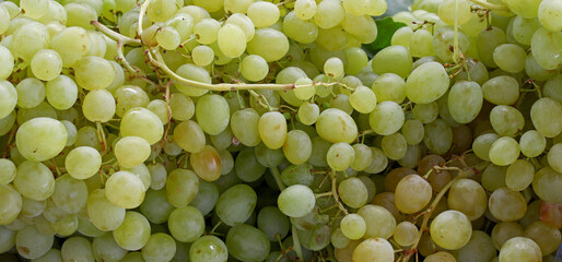 close-up background of bunch of grapes