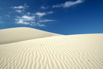 Sanddüne im Sommer