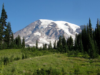 pretty scene on a sunny summer day along the paradise trail to mount rainier in mount rainier national park,  in washington state