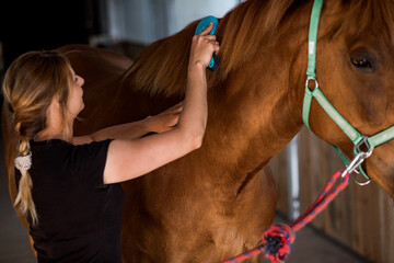Young woman combs mane of her horse. Close-up.Animal care. Active leisure. Beauty and health.