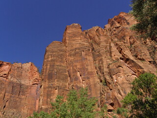 striking red rocks cliffs on a sunny summer day  in zion national park, utah