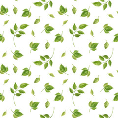 Fototapeta na wymiar Rose leaves seamless pattern. Floral background in vintage style. Watercolor clipart.