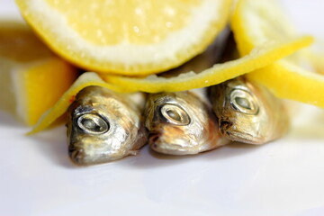 Fresh sardine fish with lemon