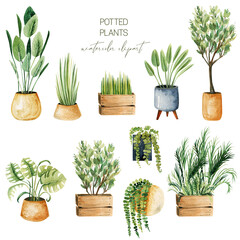 Set of watercolor potted plants, home plants collection, isolated hand drawn illustration on white background