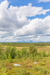 Landscape view in to the nordic wilderness