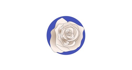 Composition of white rose in blue circle, on white background