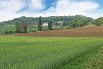 Paysage campagne, champs cultivés et labour sous le ciel bleu, agriculture bio, sud de la France