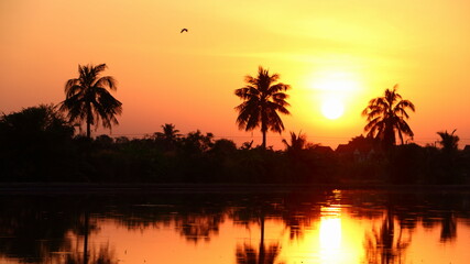 Obraz na płótnie Canvas coconut tree with sun in the evening
