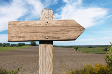 Panneau en bois dans paysage nature et campagne, avec espace vide pour du texte, mockup