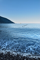 Fototapeta na wymiar beautiful view of the sea in Camogli
