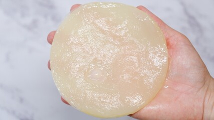 Scoby mushroom in one hand for kombucha fermentation