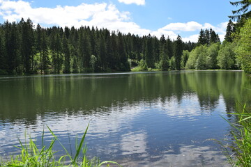 Fototapeta na wymiar Hut pond near Altenau; Germany; Harz mountians