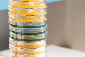 Yellow and green petri dishes stack in microbiology lab on the bacteriology laboratory