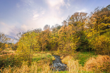 Colorful nature in the fall with a small creek