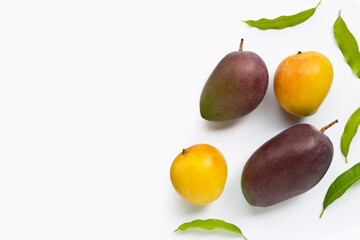 Mango, Tropical fruit with leaves on white background. Top view