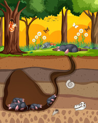 Underground animal burrow with mole family