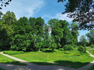 A path among the trees in the rocky natural park of Monrepos in the city of Vyborg on a clear summer day.
