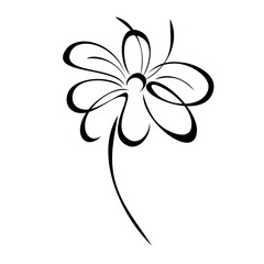 one stylized blooming flower on a short stalk without leaves in black lines on a white background